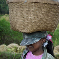 Photo de Bali - Autour de Munduk